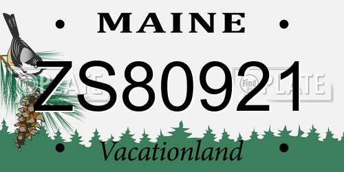 ZS80921 Maine License Plate
