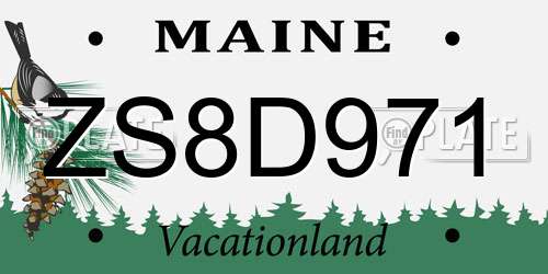ZS8D971 Maine License Plate