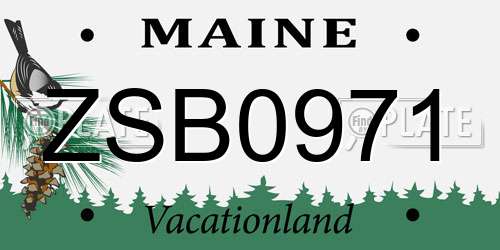 ZSB0971 Maine License Plate