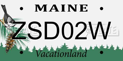 ZSD02W Maine License Plate