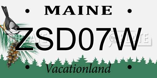 ZSD07W Maine License Plate