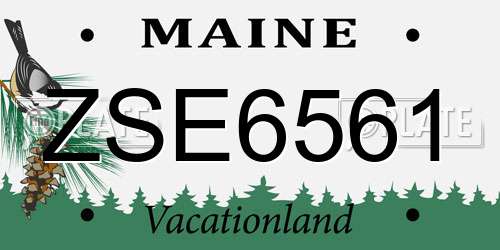 ZSE6561 Maine License Plate