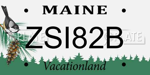 ZSI82B Maine License Plate