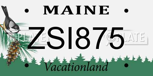 ZSI875 Maine License Plate