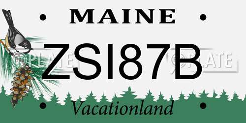 ZSI87B Maine License Plate