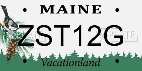 ZST12G Maine License Plate
