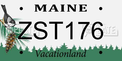 ZST176 Maine License Plate