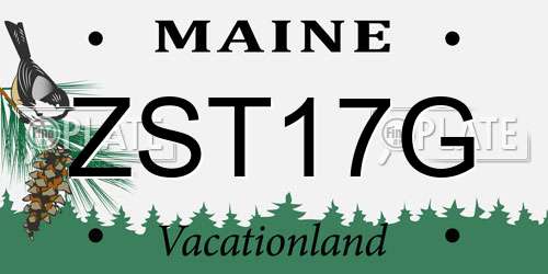 ZST17G Maine License Plate