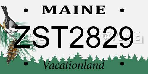 ZST2829 Maine License Plate