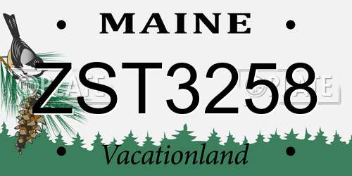 ZST3258 Maine License Plate