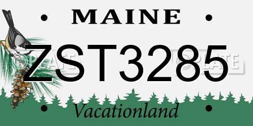 ZST3285 Maine License Plate