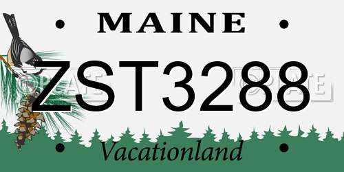 ZST3288 Maine License Plate