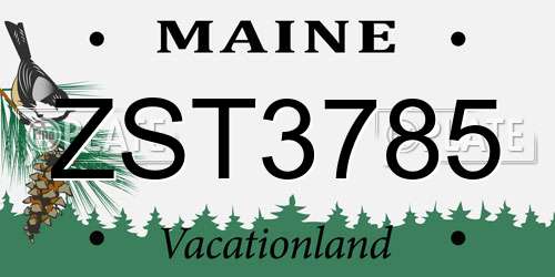 ZST3785 Maine License Plate
