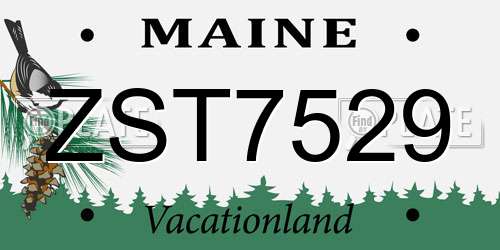 ZST7529 Maine License Plate