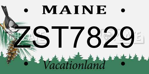 ZST7829 Maine License Plate