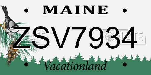 ZSV7934 Maine License Plate