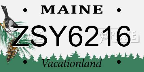 ZSY6216 Maine License Plate