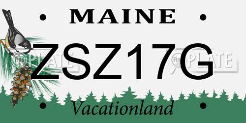 ZSZ17G Maine License Plate