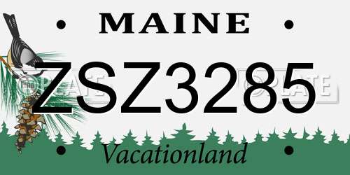 ZSZ3285 Maine License Plate