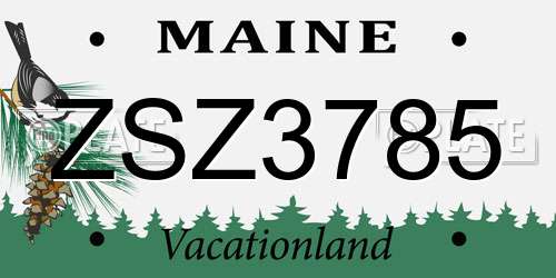 ZSZ3785 Maine License Plate