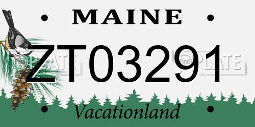 ZT03291 Maine License Plate