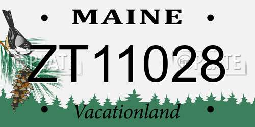 ZT11028 Maine License Plate