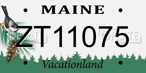 ZT11075 Maine License Plate