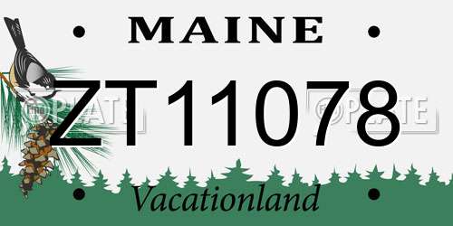 ZT11078 Maine License Plate