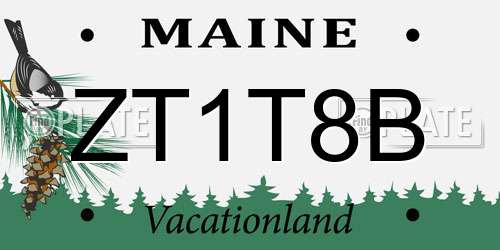 ZT1T8B Maine License Plate