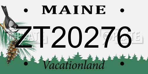 ZT20276 Maine License Plate