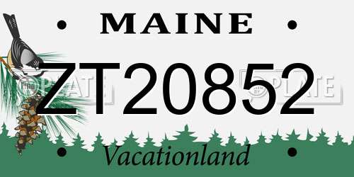 ZT20852 Maine License Plate