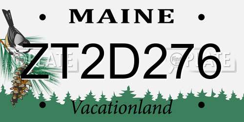 ZT2D276 Maine License Plate