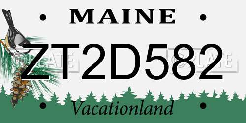 ZT2D582 Maine License Plate