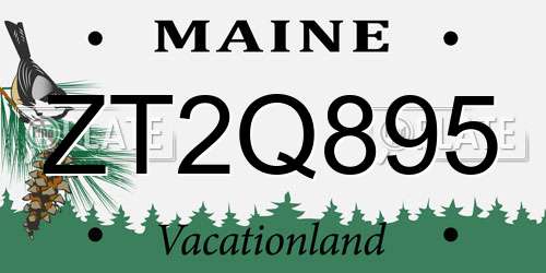 ZT2Q895 Maine License Plate
