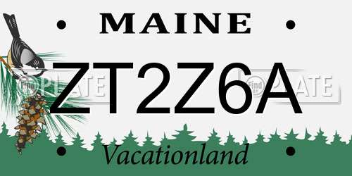 ZT2Z6A Maine License Plate