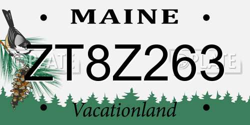ZT8Z263 Maine License Plate