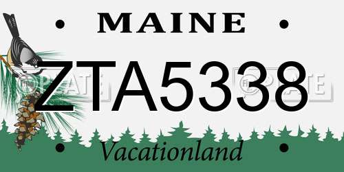 ZTA5338 Maine License Plate