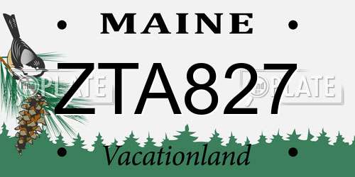 ZTA827 Maine License Plate