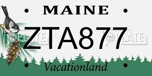 ZTA877 Maine License Plate