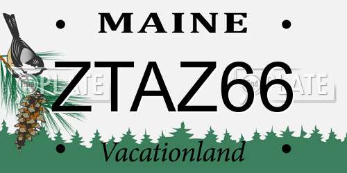 ZTAZ66 Maine License Plate