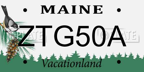 ZTG50A Maine License Plate
