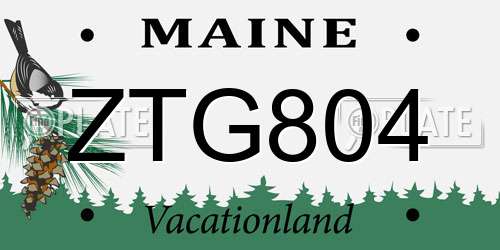 ZTG804 Maine License Plate