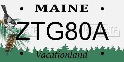 ZTG80A Maine License Plate