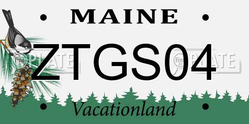 ZTGS04 Maine License Plate