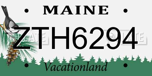 ZTH6294 Maine License Plate