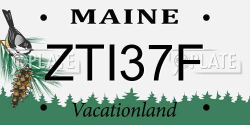 ZTI37F Maine License Plate