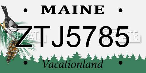 ZTJ5785 Maine License Plate