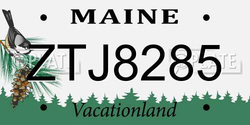 ZTJ8285 Maine License Plate