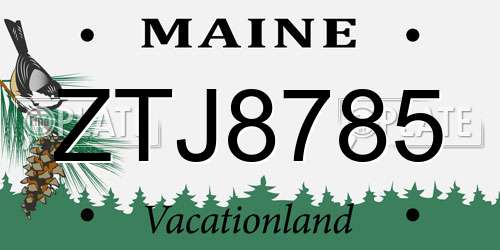 ZTJ8785 Maine License Plate