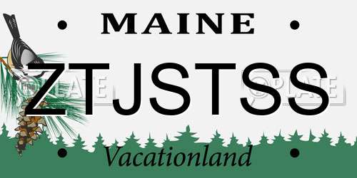 ZTJSTSS Maine License Plate